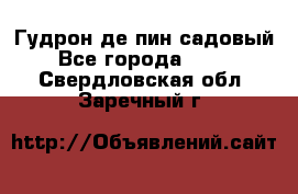 Гудрон де пин садовый - Все города  »    . Свердловская обл.,Заречный г.